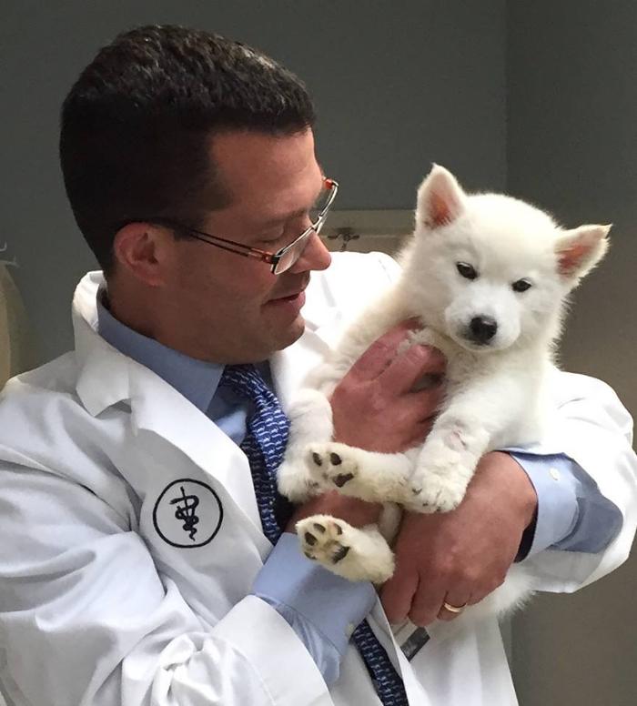 Gentle Doctor Animal Hospital - Omaha, NE