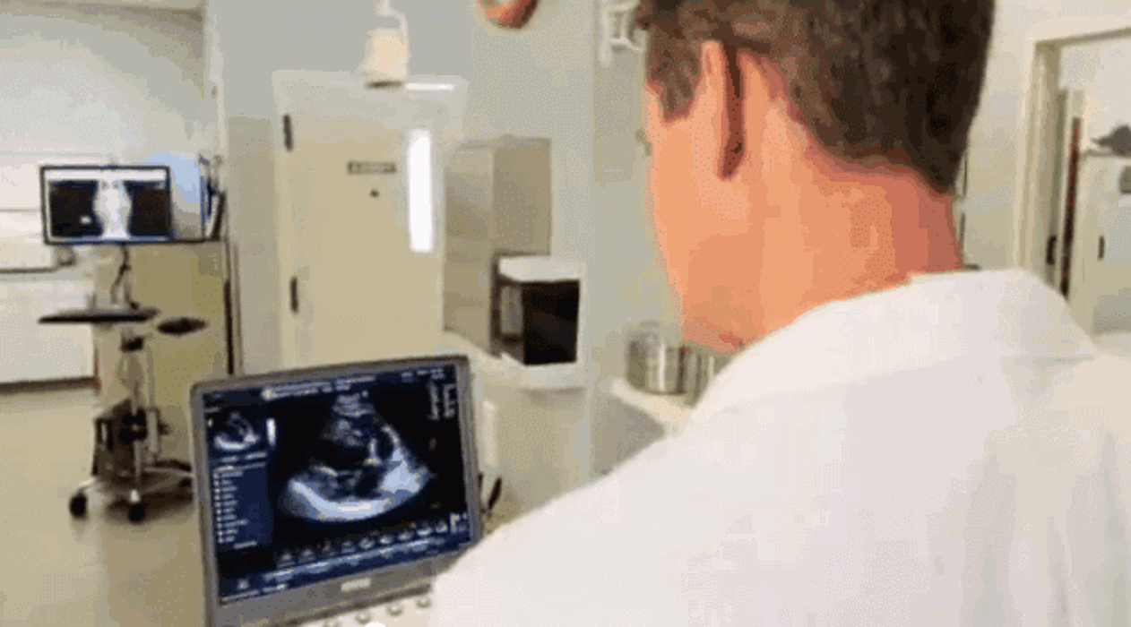 Gentle Doctor Animal Hospital - Omaha, NE