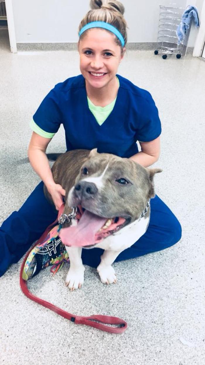 Gentle Doctor Animal Hospital - Omaha, NE