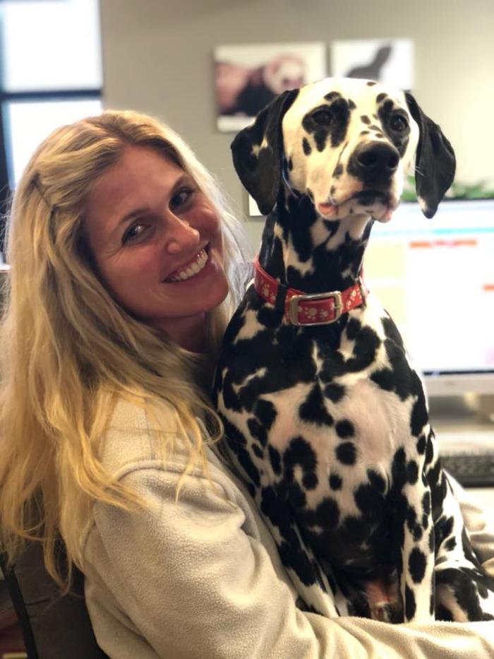 Gentle Doctor Animal Hospital - Omaha, NE