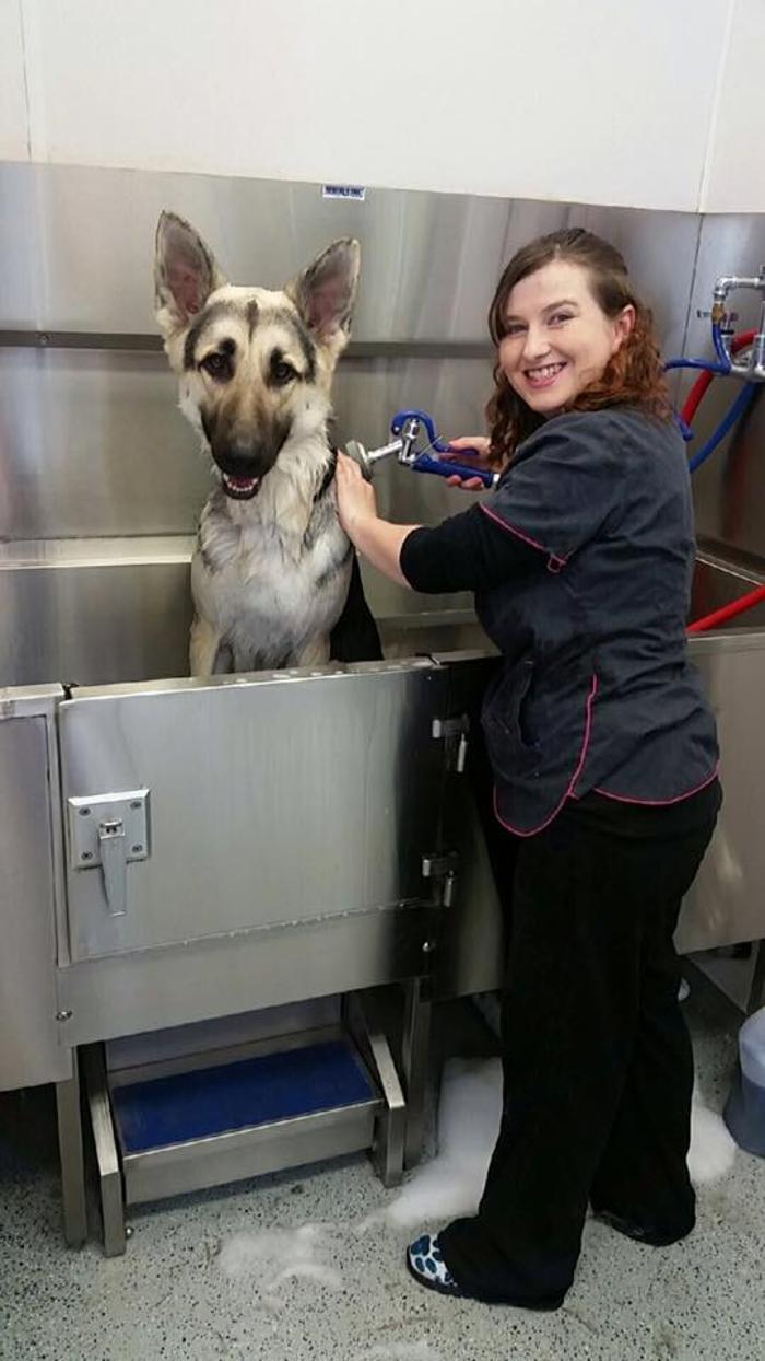 Gentle Doctor Animal Hospital - Omaha, NE