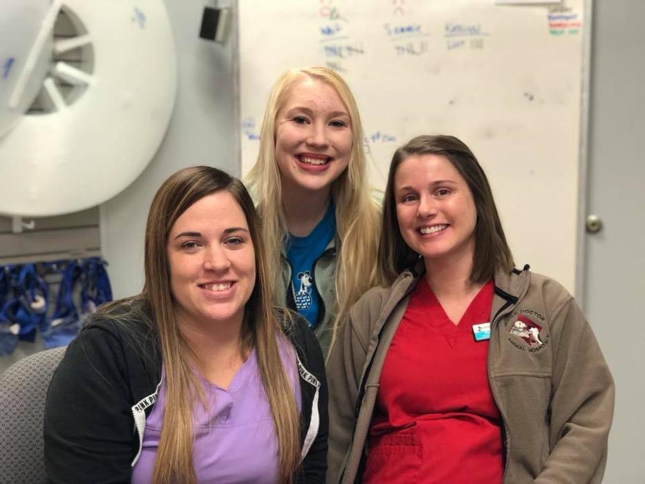 Gentle Doctor Animal Hospital - Omaha, NE