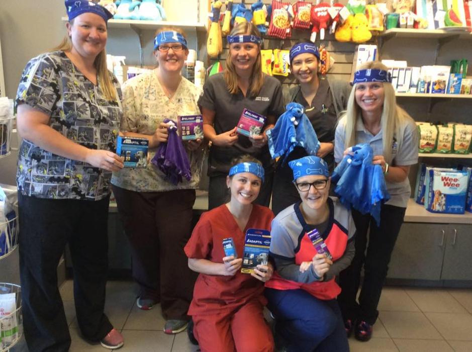 Gentle Doctor Animal Hospital - Omaha, NE