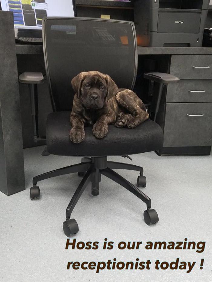 Gentle Doctor Animal Hospital - Omaha, NE