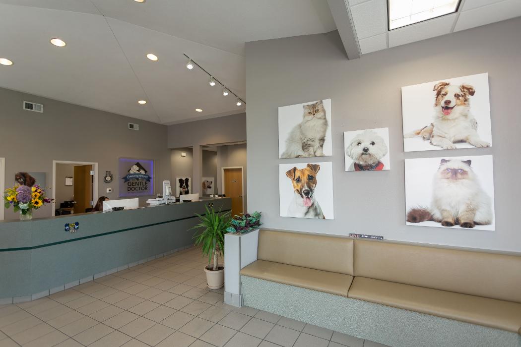 Gentle Doctor Animal Hospital - Omaha, NE