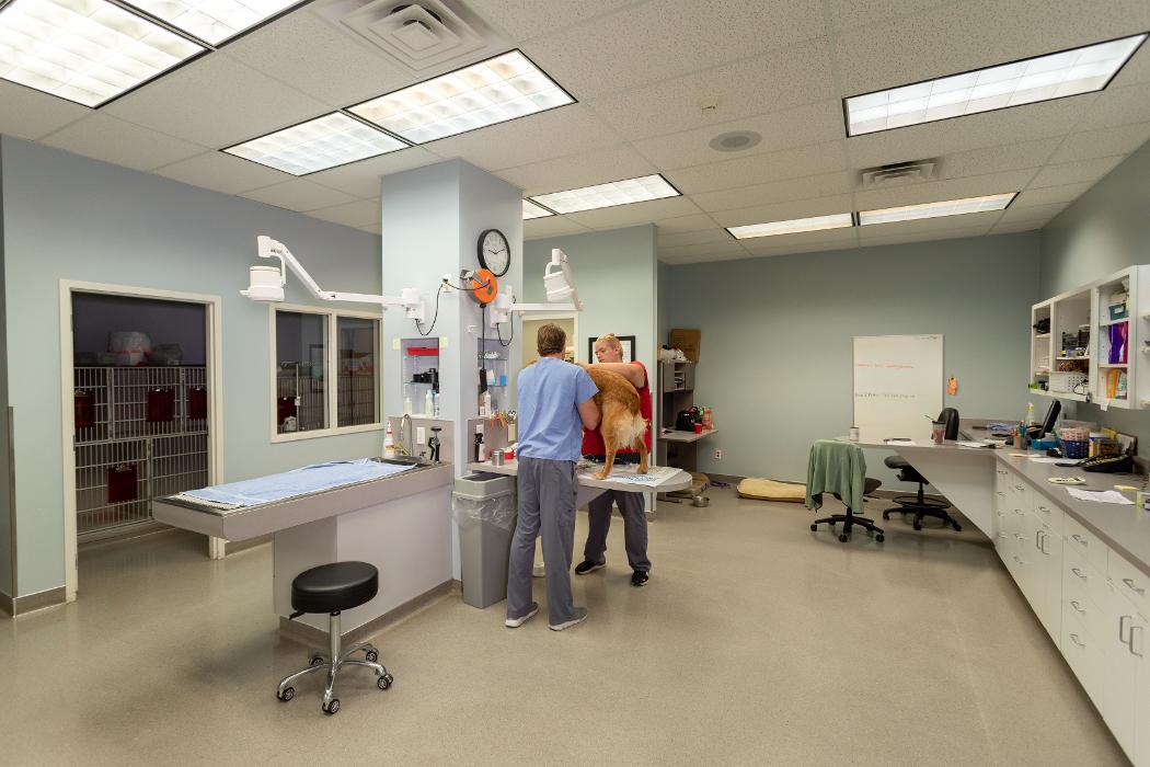 Gentle Doctor Animal Hospital - Omaha, NE