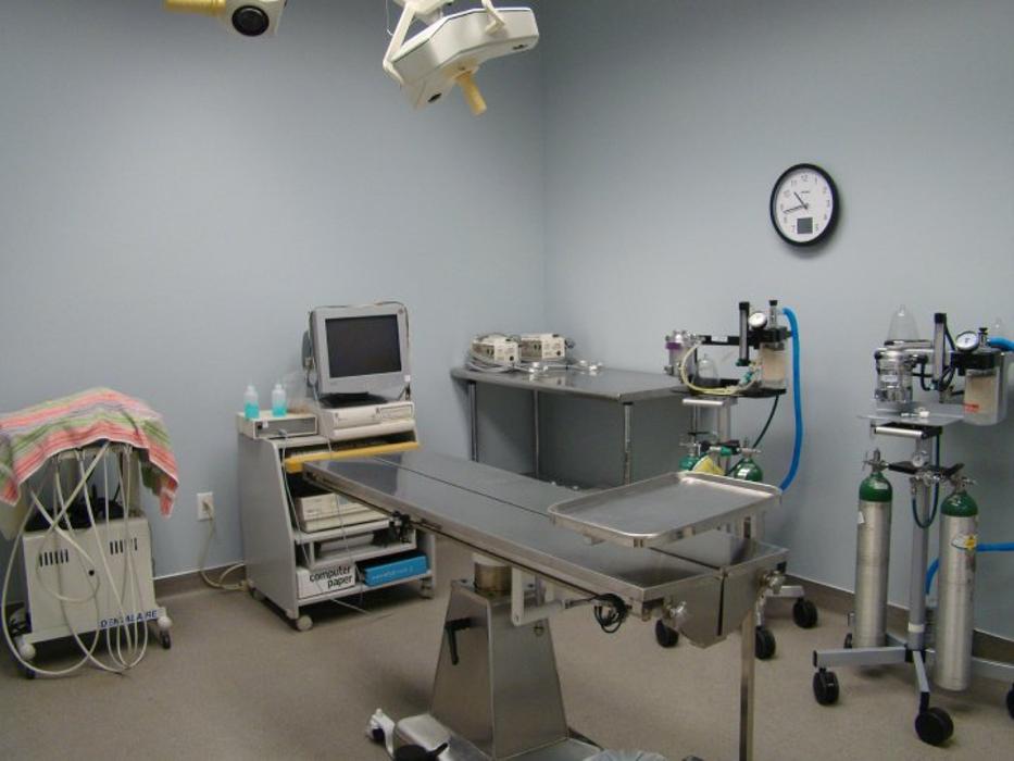 Gentle Doctor Animal Hospital - Omaha, NE