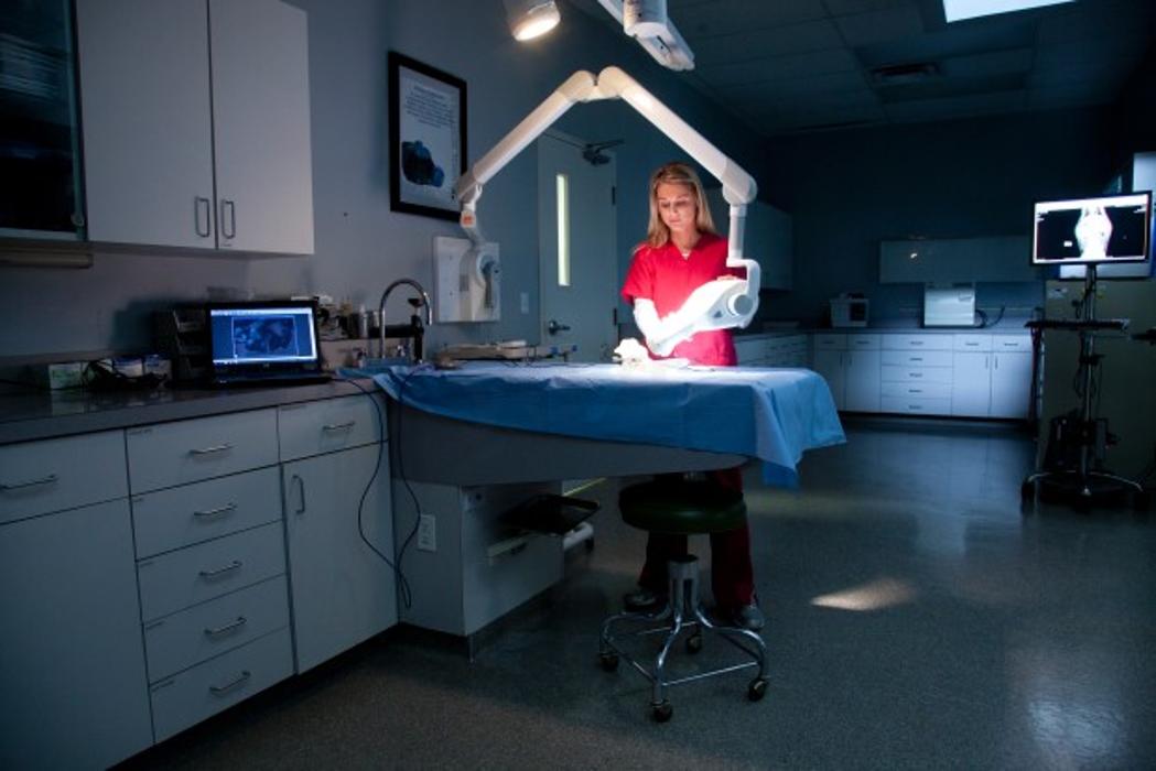 Gentle Doctor Animal Hospital - Omaha, NE