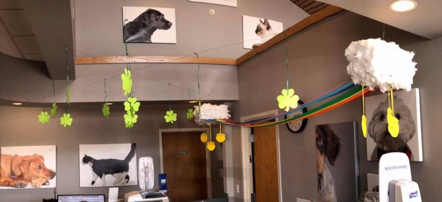 Gentle Doctor Animal Hospital - Omaha, NE