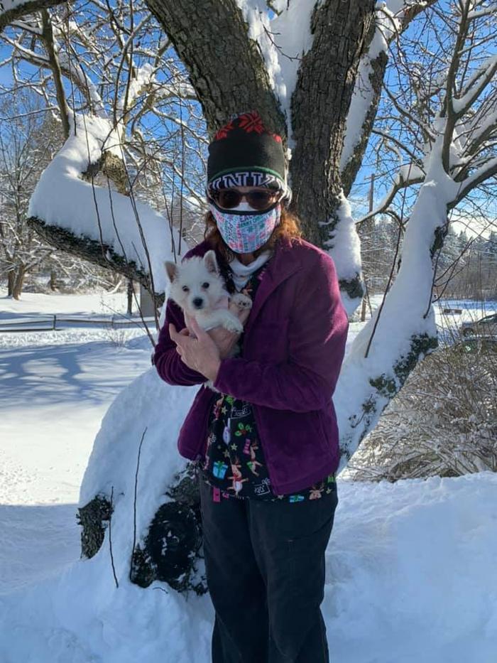 State College Veterinary Hospital - State College, PA