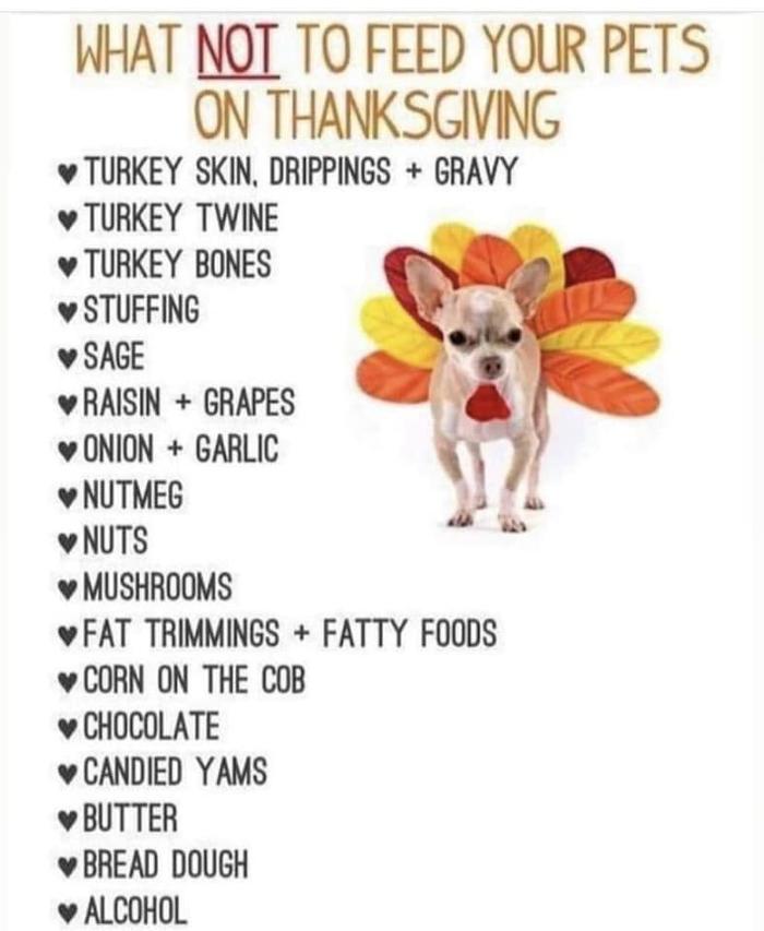 State College Veterinary Hospital - State College, PA