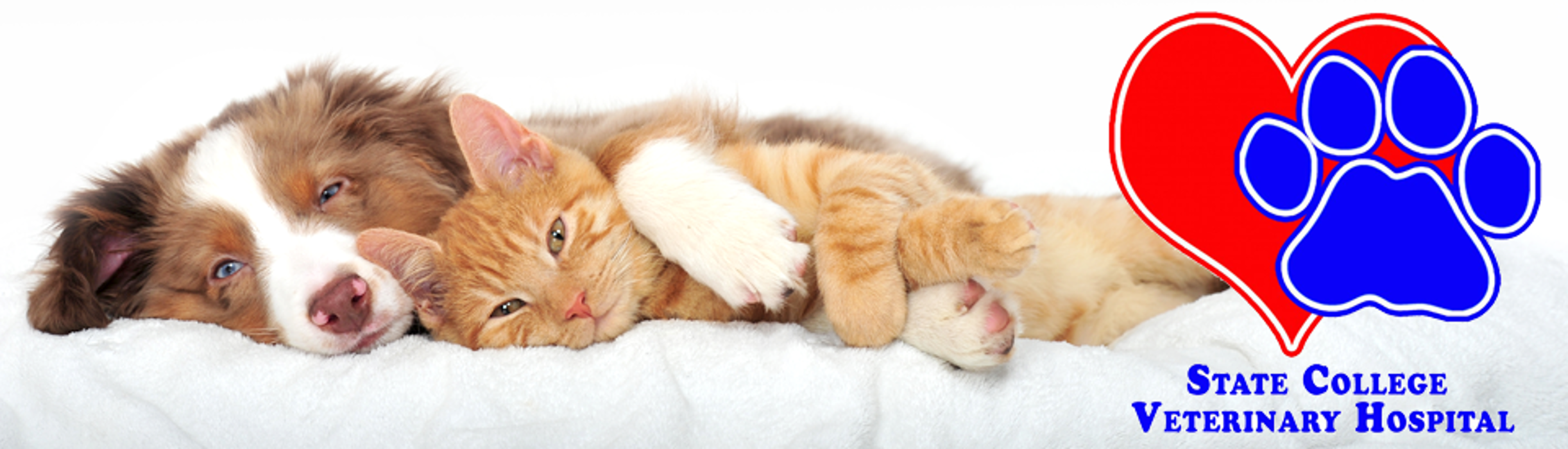 State College Veterinary Hospital - State College, PA