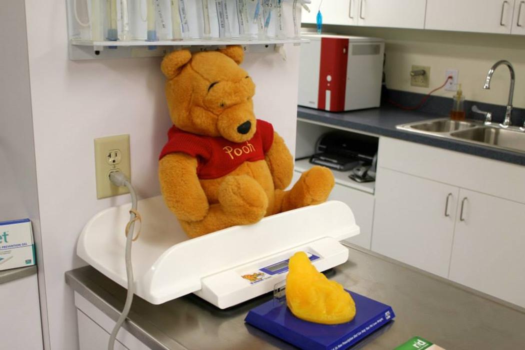 State College Veterinary Hospital - State College, PA