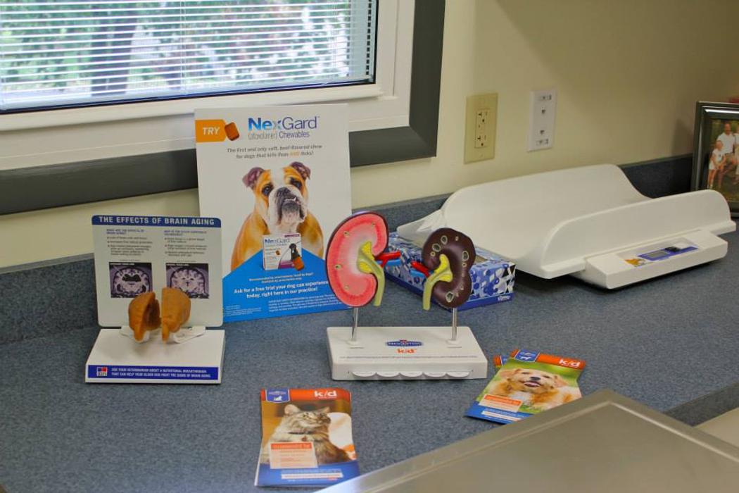 State College Veterinary Hospital - State College, PA