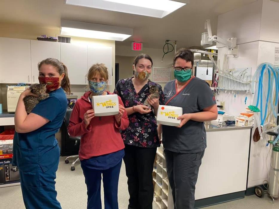 State College Veterinary Hospital - State College, PA