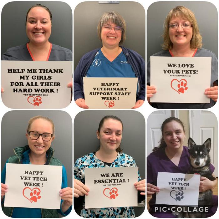 State College Veterinary Hospital - State College, PA