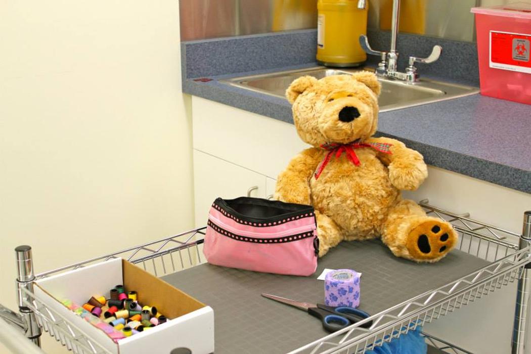 State College Veterinary Hospital - State College, PA