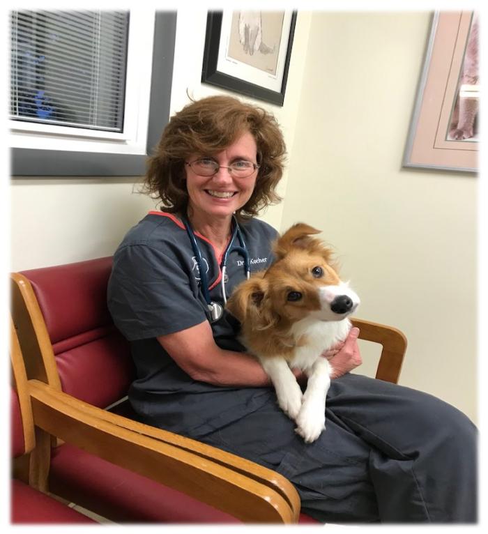 State College Veterinary Hospital - State College, PA