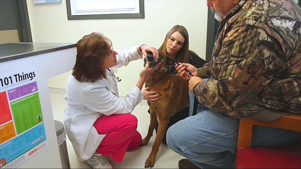 State College Veterinary Hospital - State College, PA