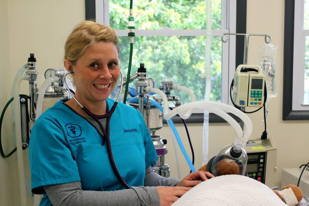 State College Veterinary Hospital - State College, PA