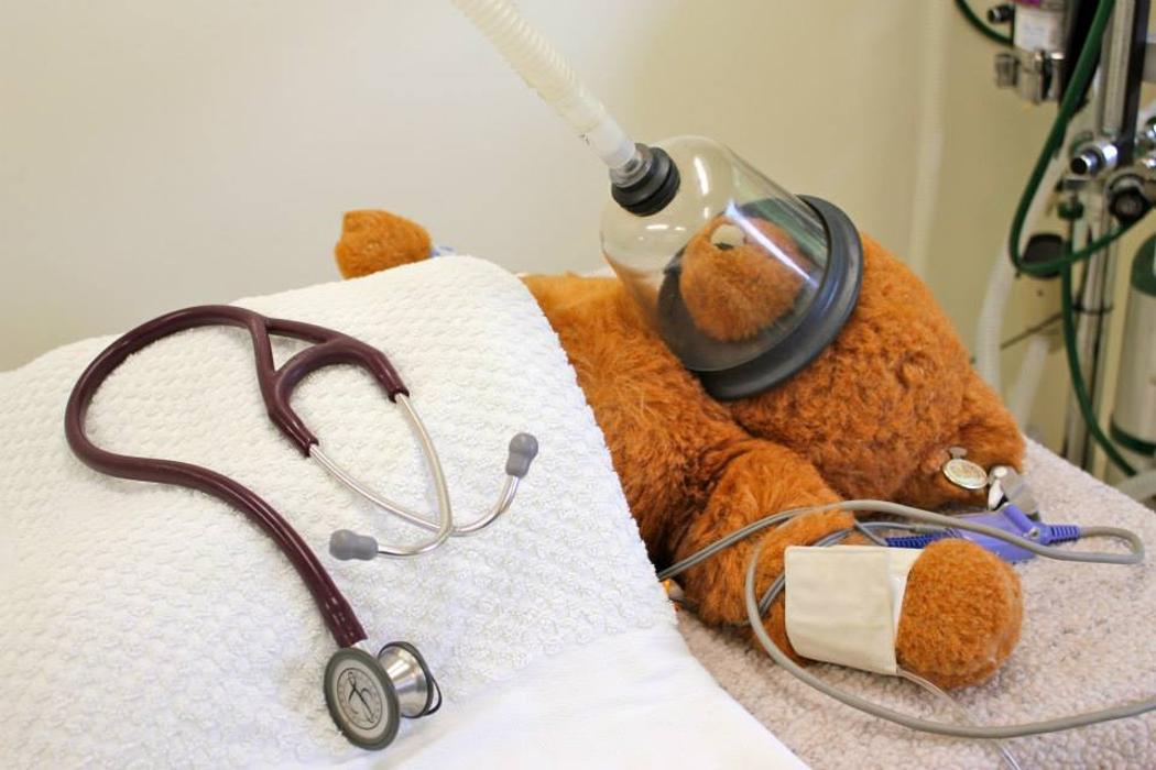 State College Veterinary Hospital - State College, PA