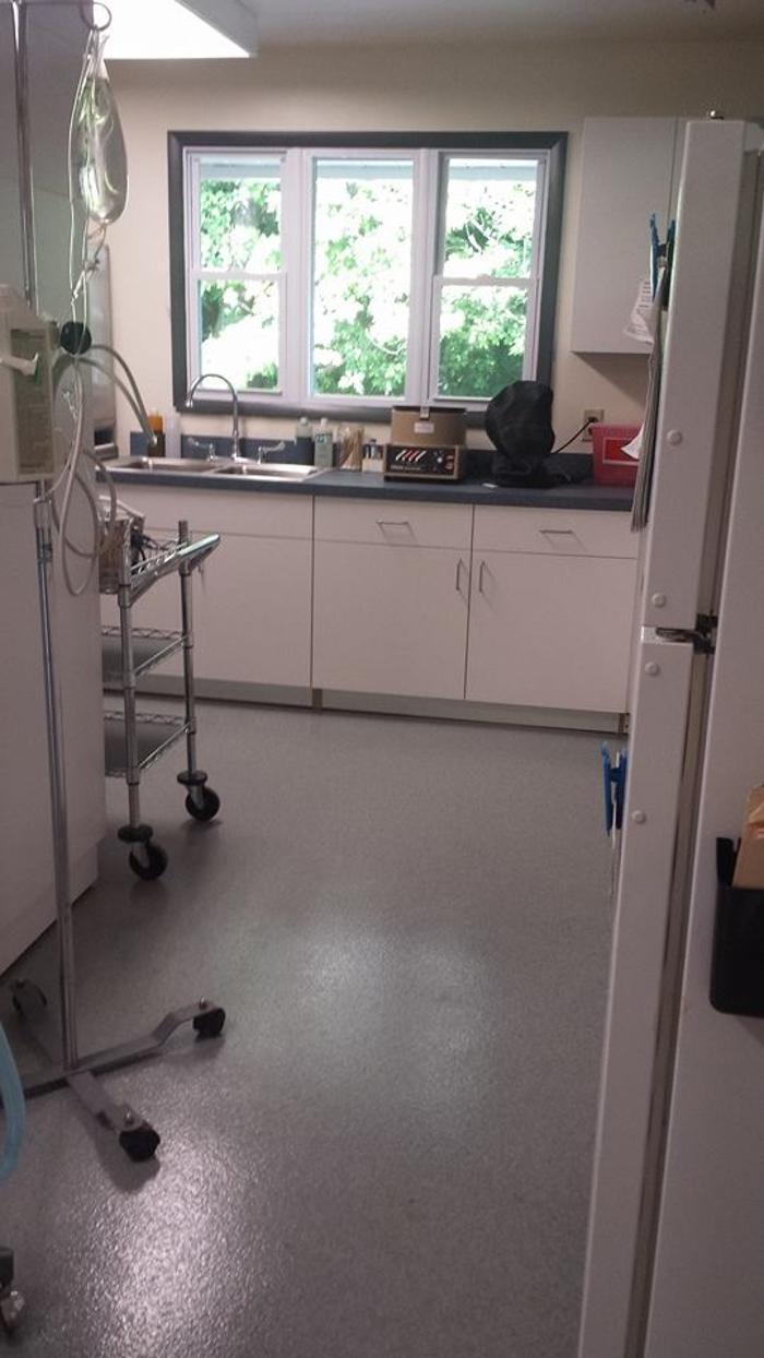 State College Veterinary Hospital - State College, PA