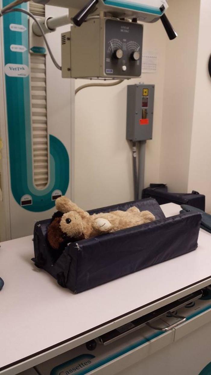 State College Veterinary Hospital - State College, PA