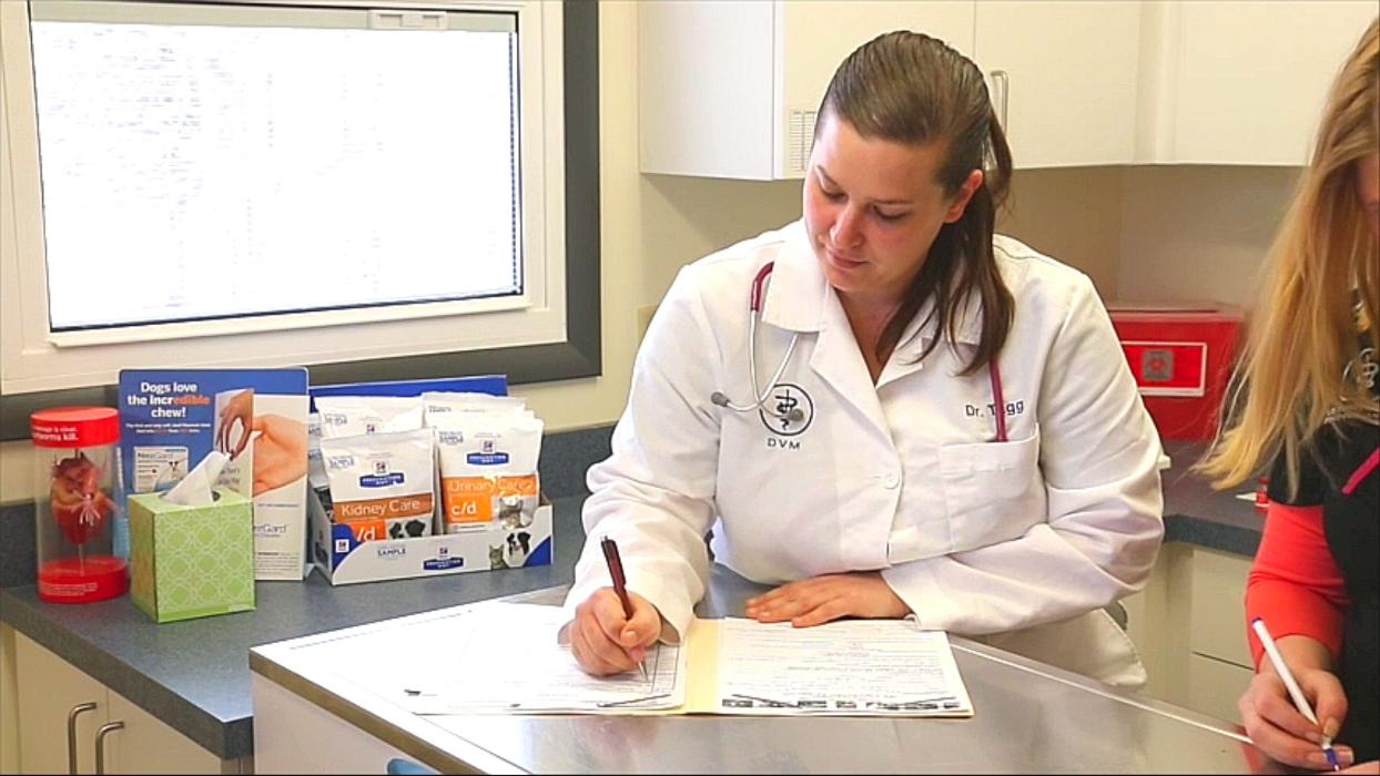 State College Veterinary Hospital - State College, PA