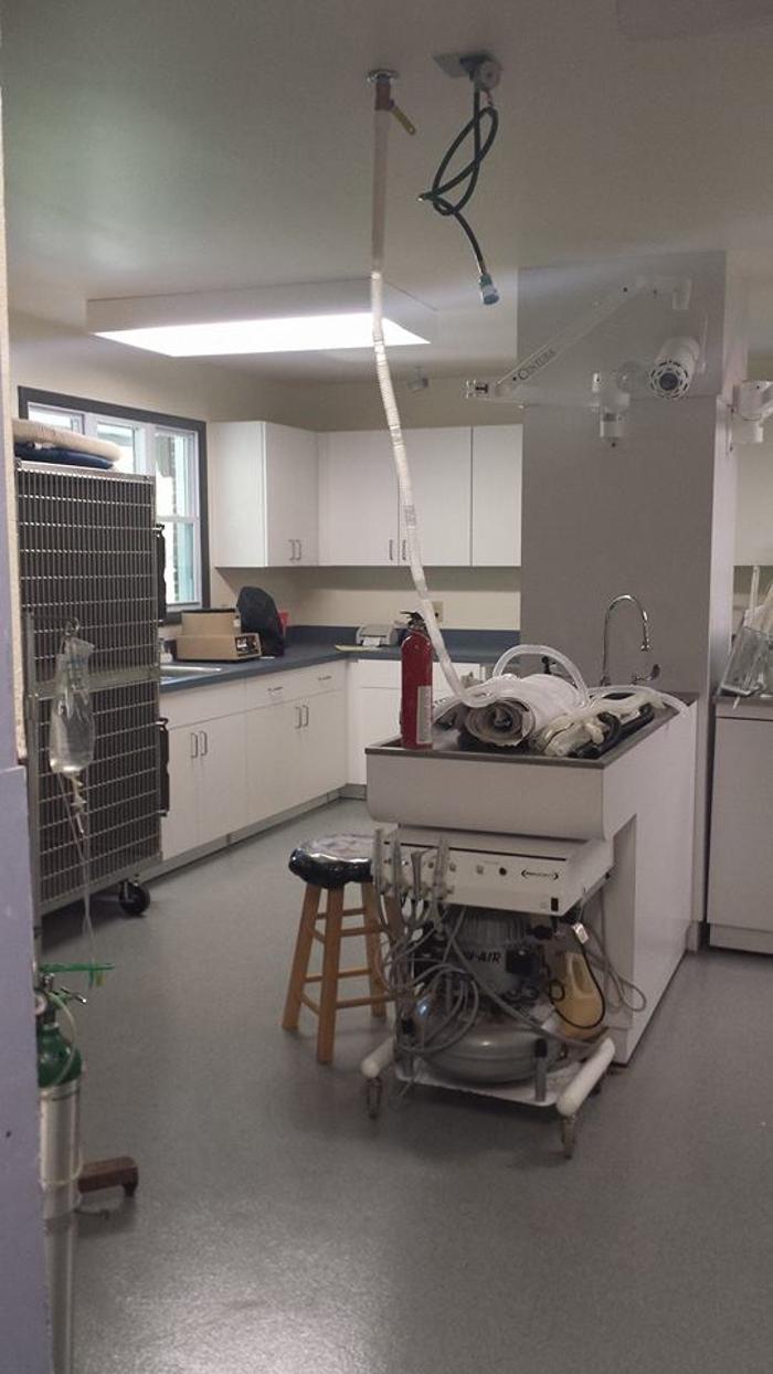 State College Veterinary Hospital - State College, PA