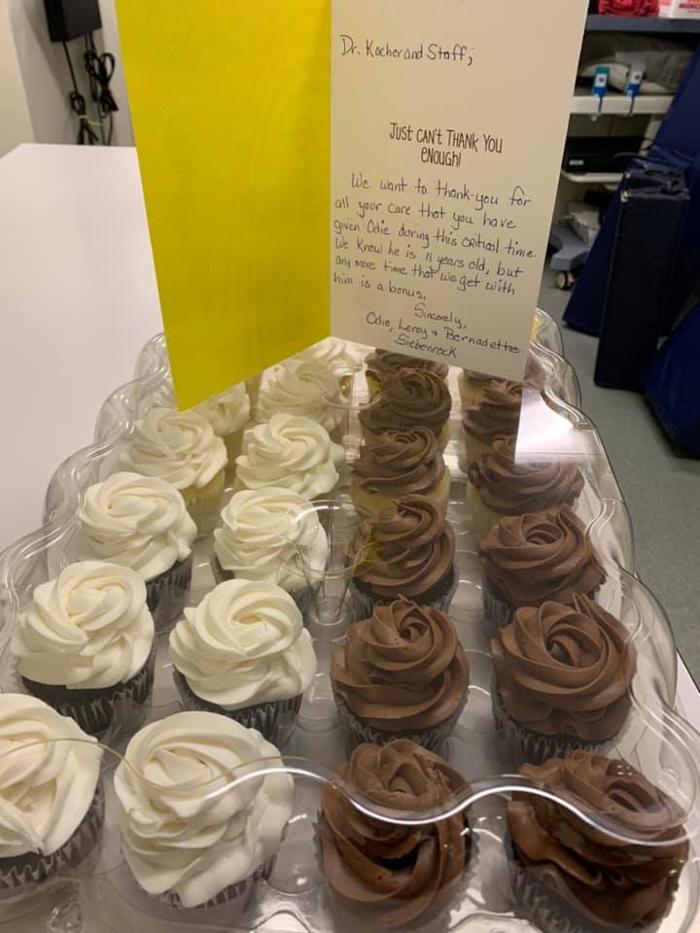 State College Veterinary Hospital - State College, PA