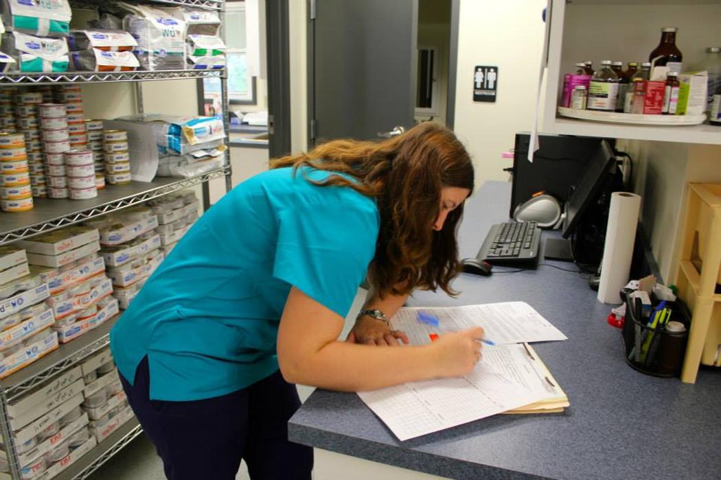 State College Veterinary Hospital - State College, PA