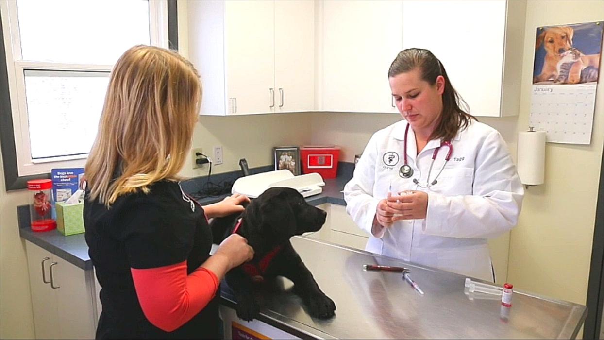 State College Veterinary Hospital - State College, PA