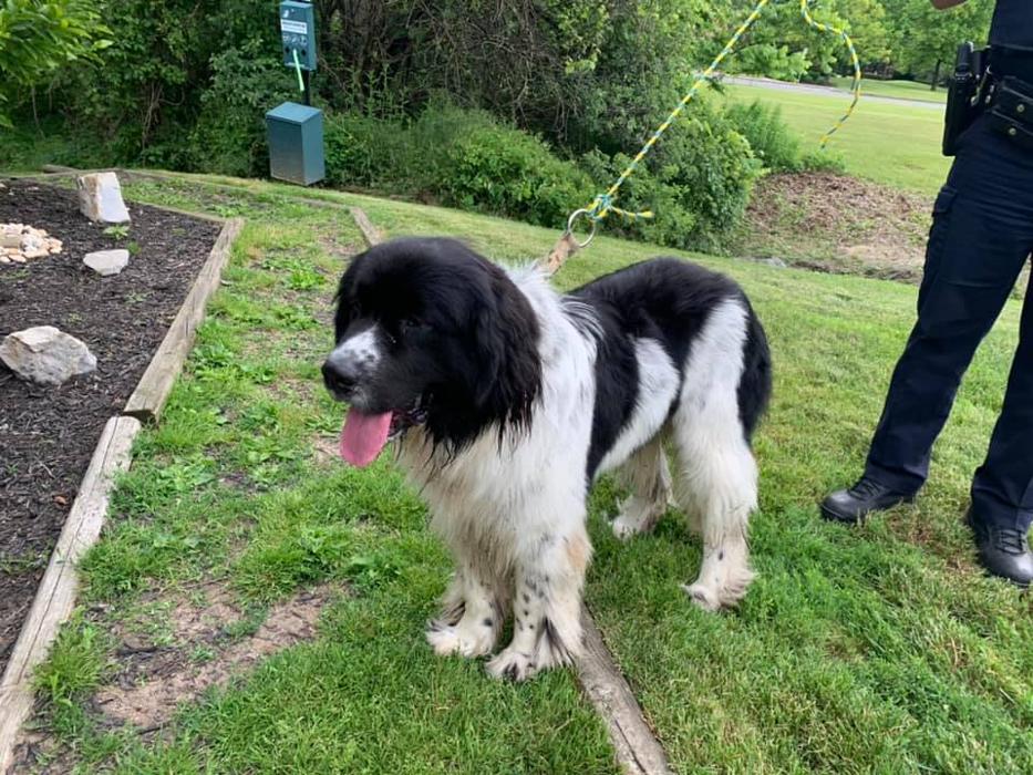 State College Veterinary Hospital - State College, PA