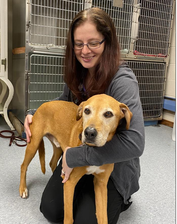 Chestnut Ridge Animal Clinic Image