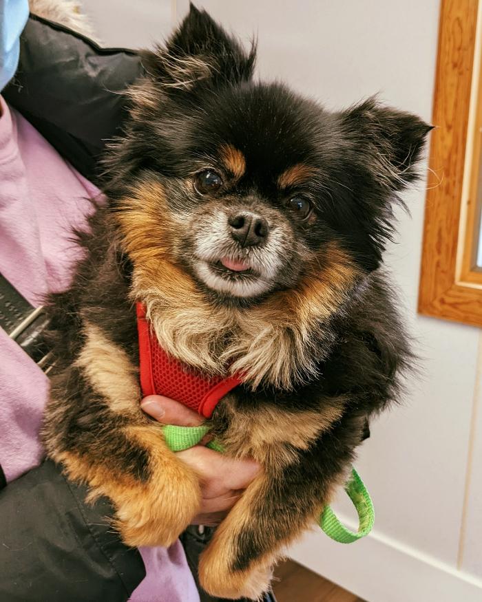 Chestnut Ridge Animal Clinic Image