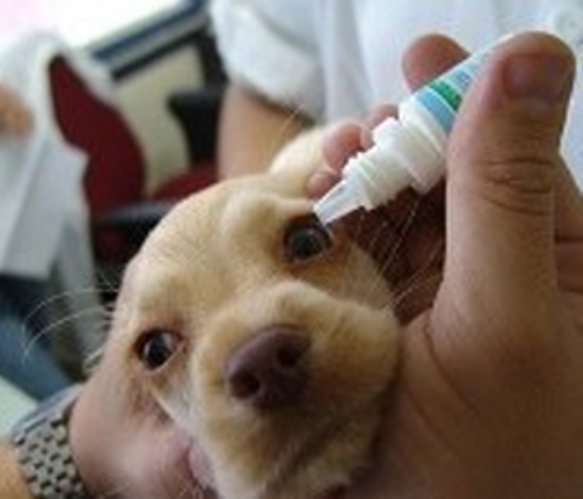 Chestnut Ridge Animal Clinic Image