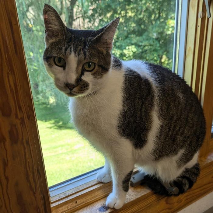 Chestnut Ridge Animal Clinic Image