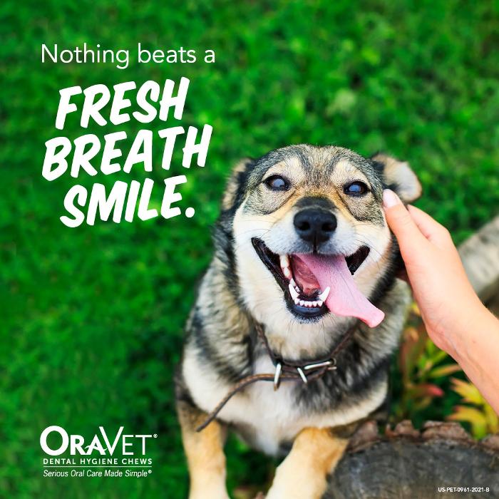 Chestnut Ridge Animal Clinic Image