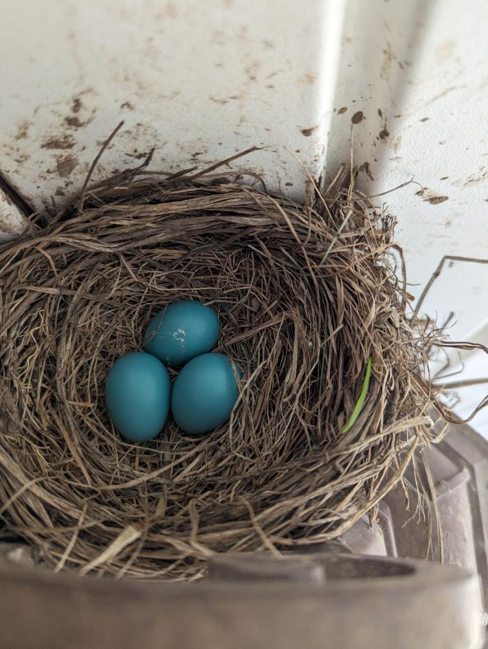 Chestnut Ridge Animal Clinic Image