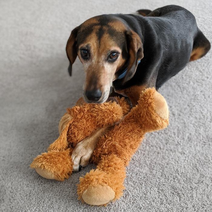 Chestnut Ridge Animal Clinic Image