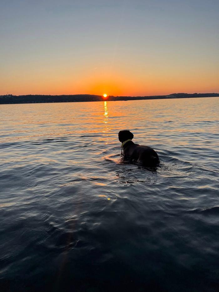 Chestnut Ridge Animal Clinic Image