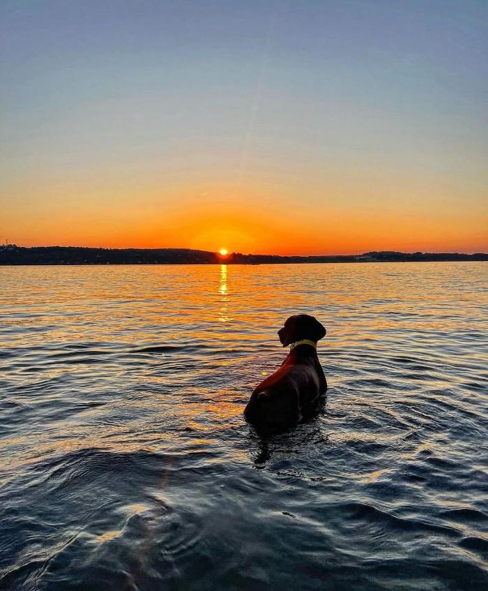 Chestnut Ridge Animal Clinic Image