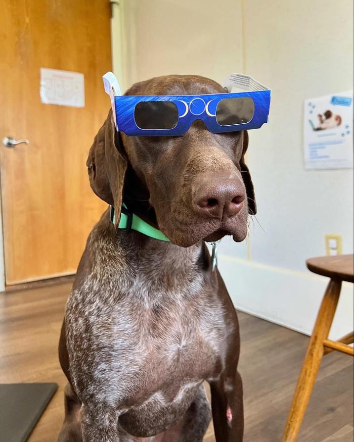 Chestnut Ridge Animal Clinic Image