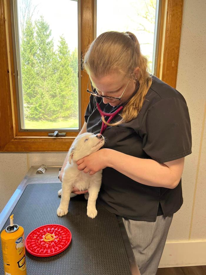 Chestnut Ridge Animal Clinic Image