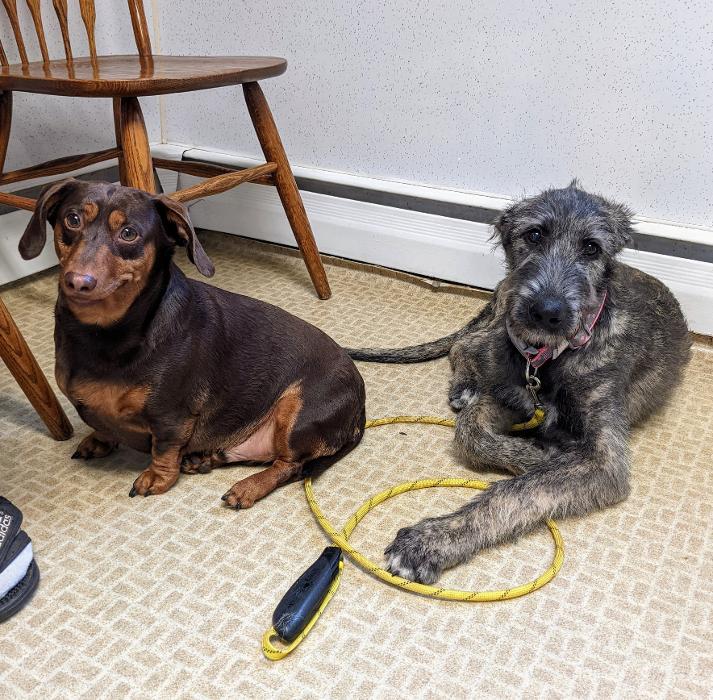 Chestnut Ridge Animal Clinic Image