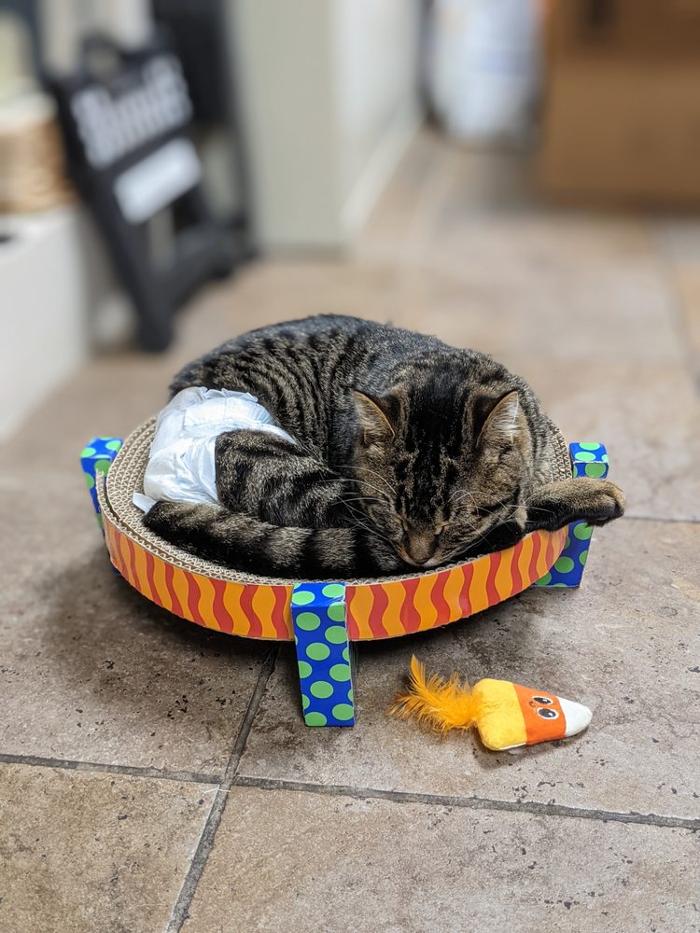 Chestnut Ridge Animal Clinic Image