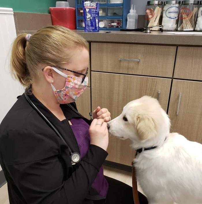 Chestnut Ridge Animal Clinic Image