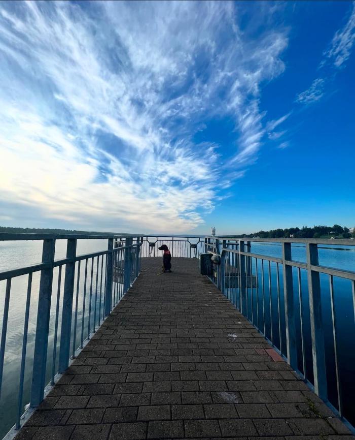 Chestnut Ridge Animal Clinic Image