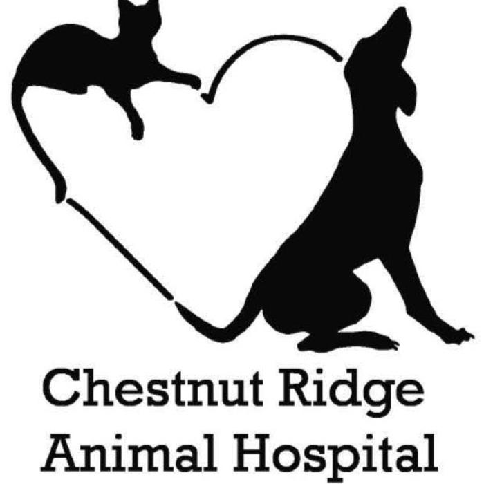 Chestnut Ridge Animal Clinic Image