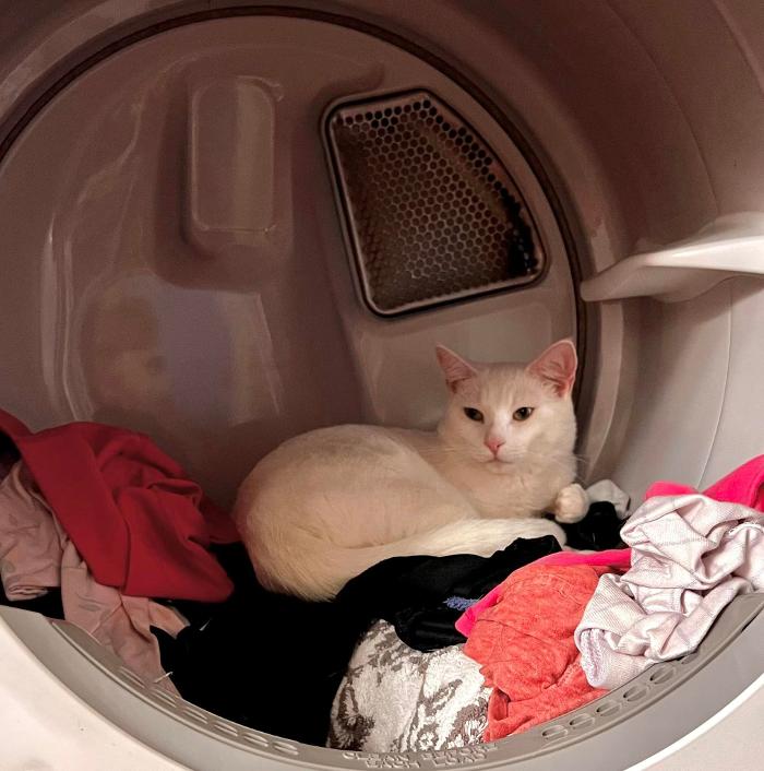 Chestnut Ridge Animal Clinic Image